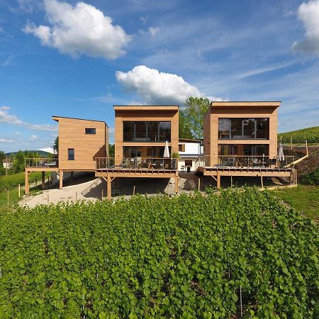 Cottages Antoinette Chigny-les-Roses Luaran gambar