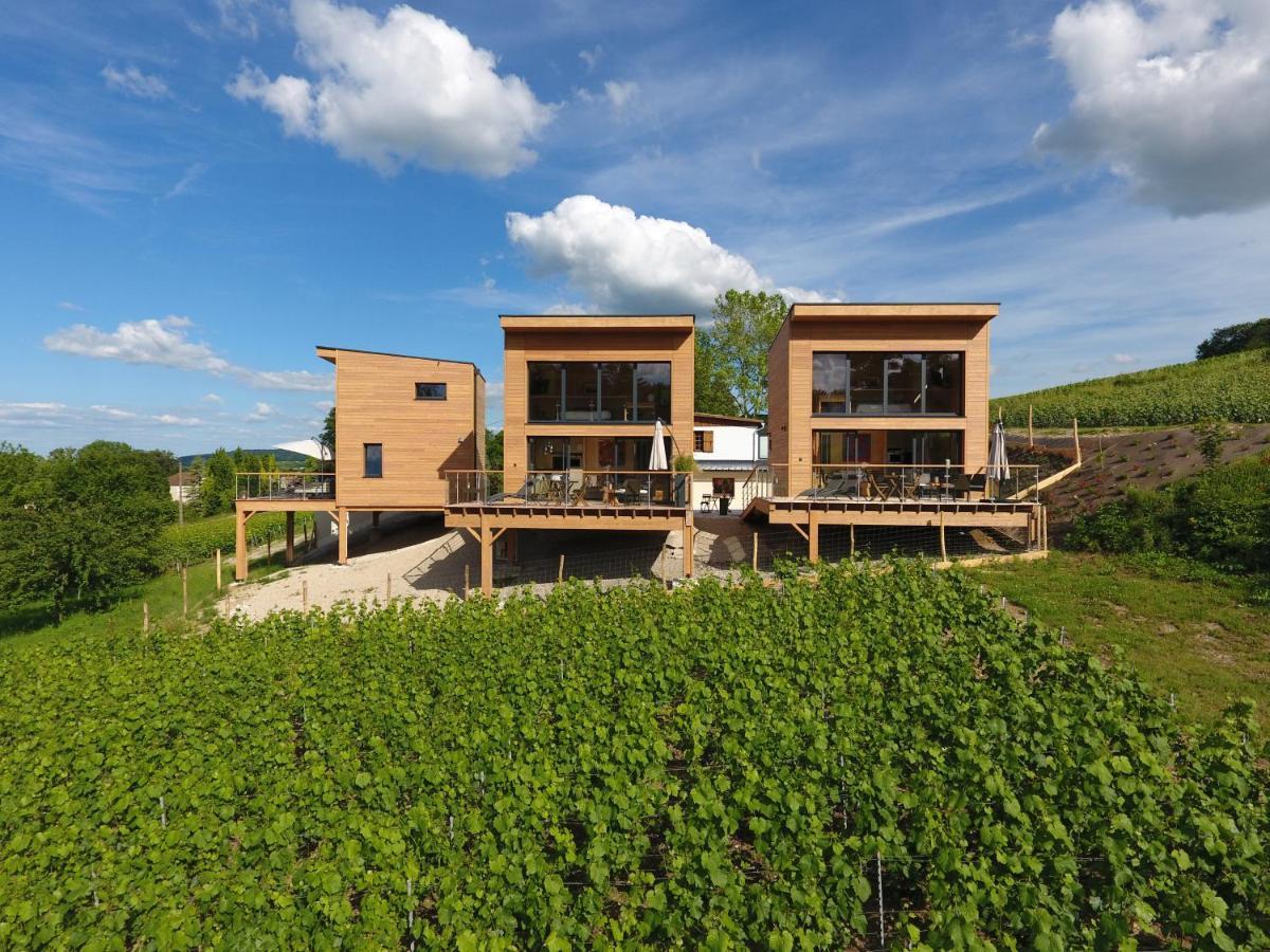 Cottages Antoinette Chigny-les-Roses Luaran gambar