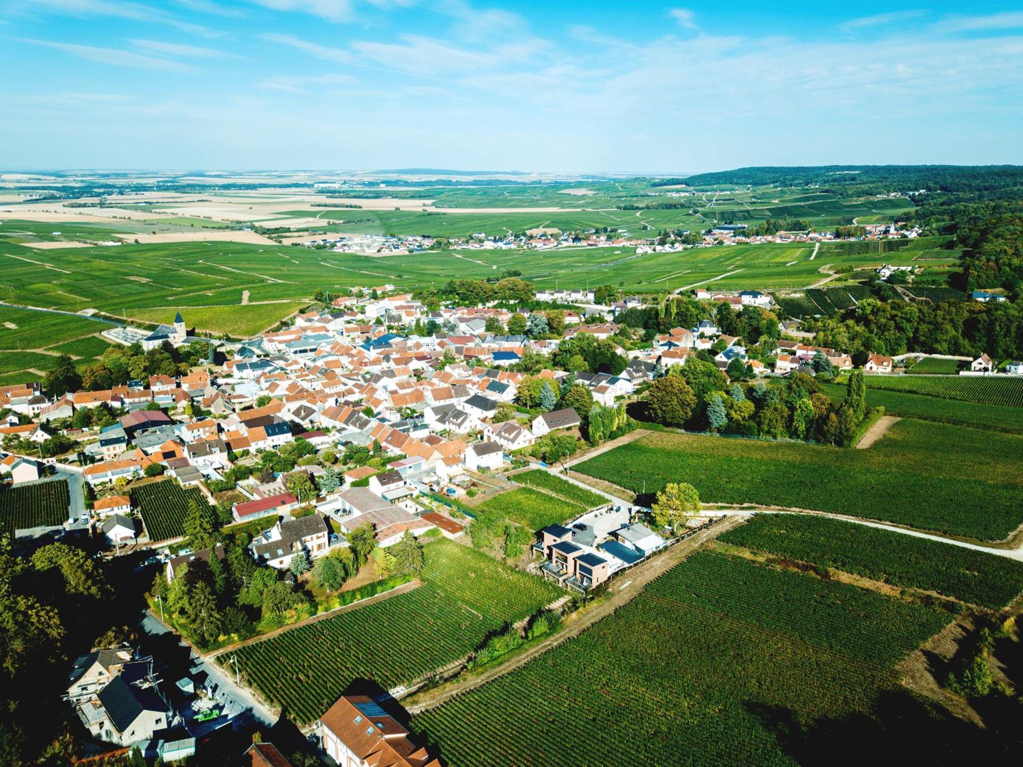 Cottages Antoinette Chigny-les-Roses Luaran gambar