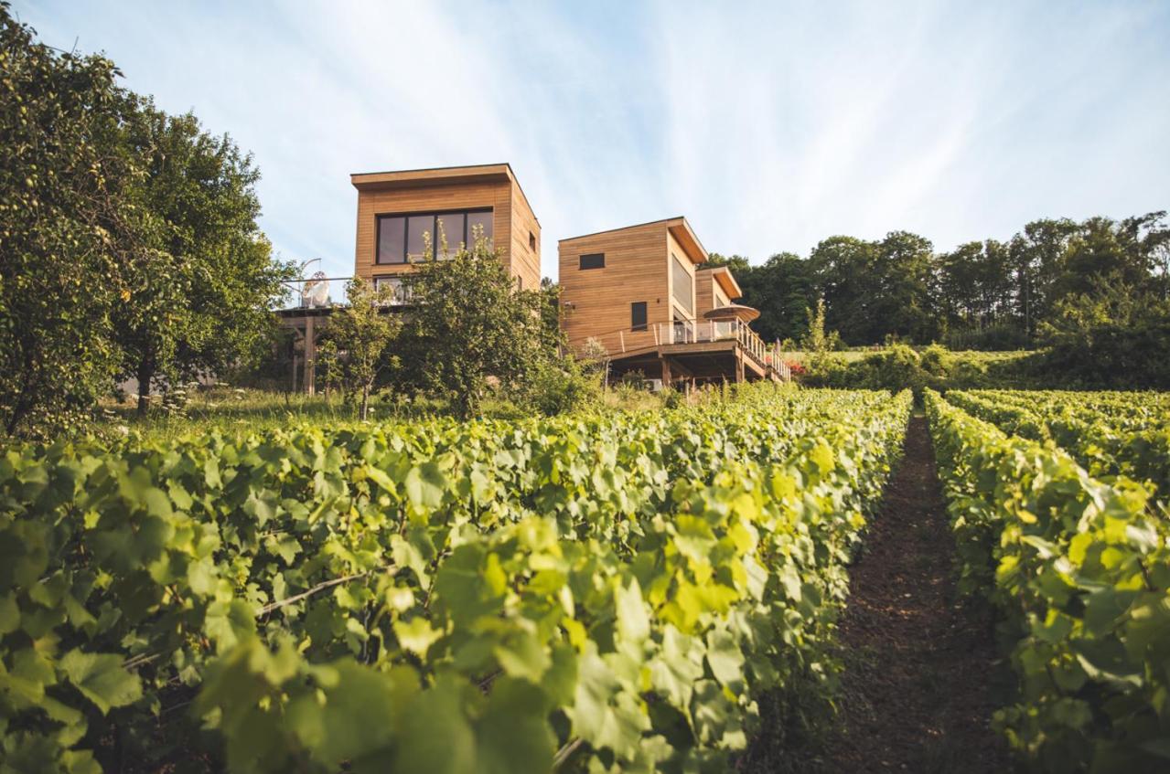 Cottages Antoinette Chigny-les-Roses Luaran gambar