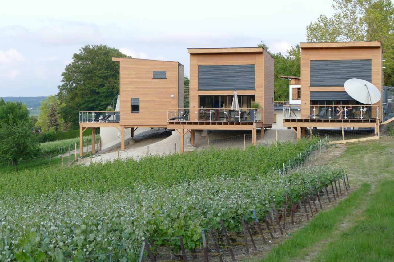 Cottages Antoinette Chigny-les-Roses Luaran gambar