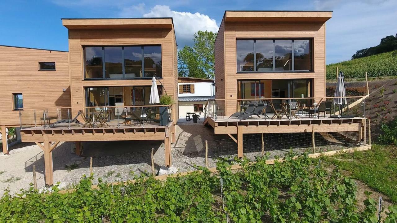 Cottages Antoinette Chigny-les-Roses Luaran gambar